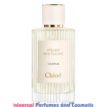 Our impression of Cedrus Chloé Unisex Concentrated Premium Perfume Oil (151338) Luzi